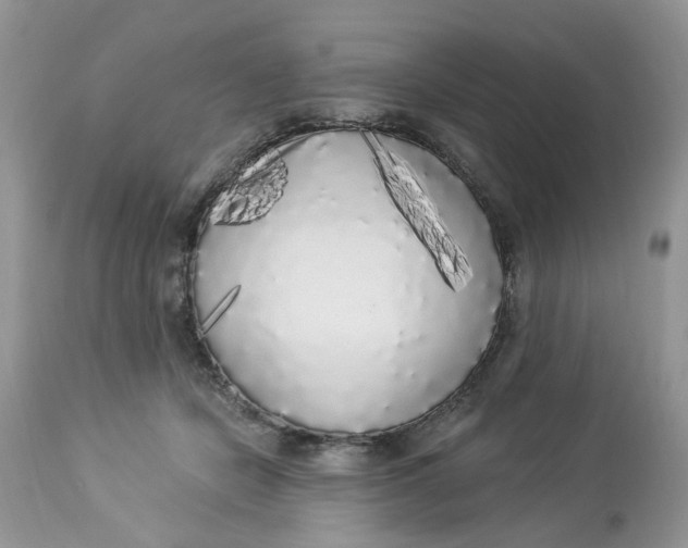 X0000112820462200909111326