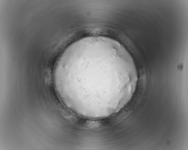 X0000112820469200909111326