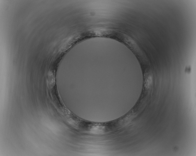 X0000112820471200909111326