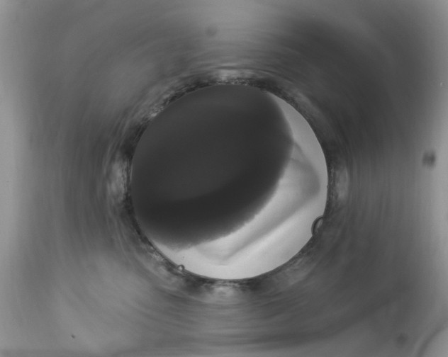 X0000112820475200909111326