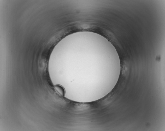 X0000112820476200909111326