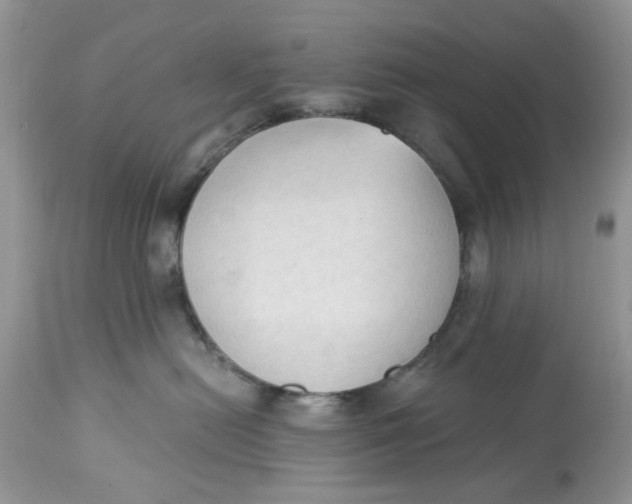 X0000112820478200909111327