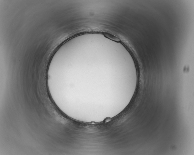 X0000112820481200909111326