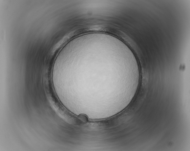 X0000112820482200909111326