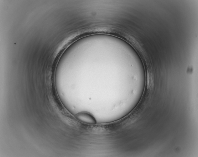 X0000112820483200909111326