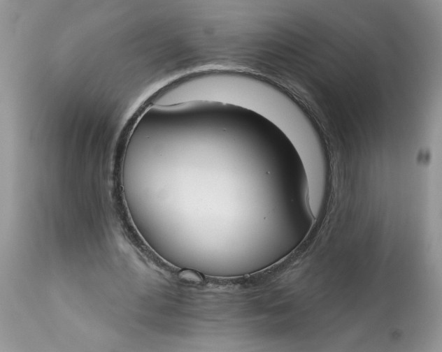 X0000112820484200909111326