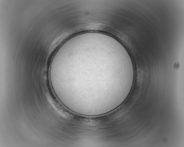 X0000112820486200909111326