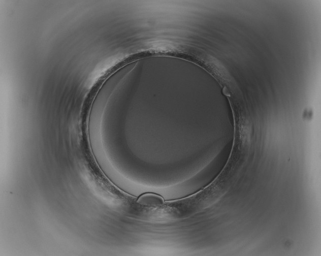 X0000112820488200909111326