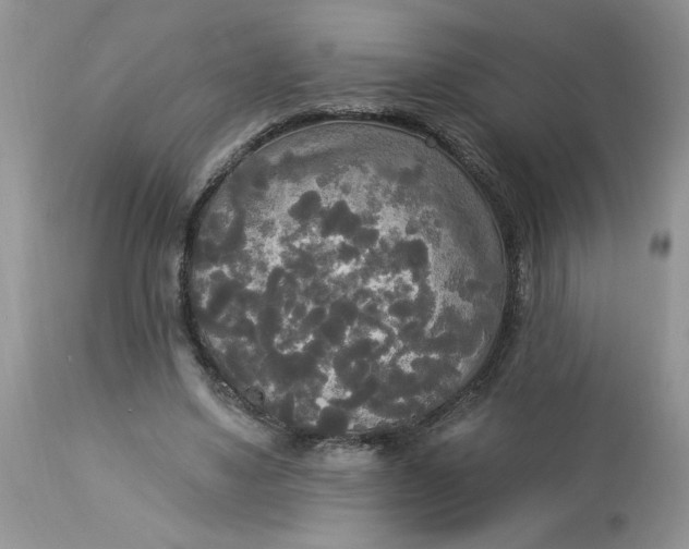 X0000112820491200909111326