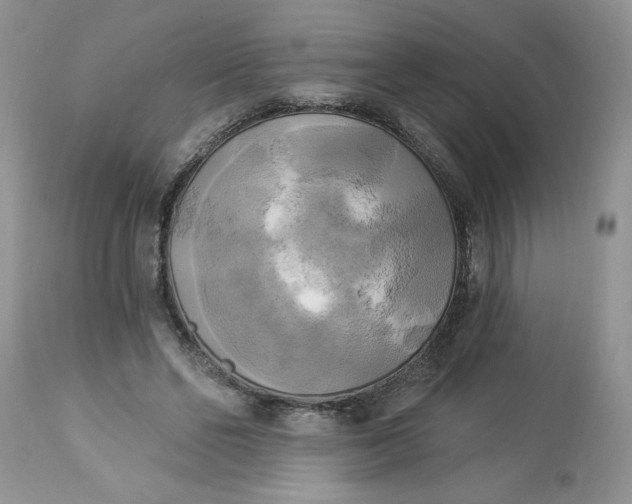 X0000112820494200909111326