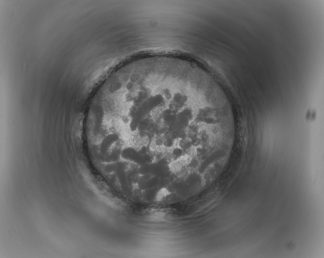 X0000112820495200909111326