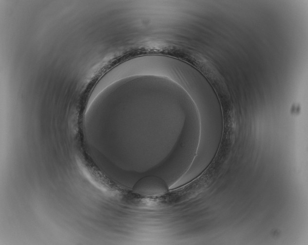 X0000112820496200909111325