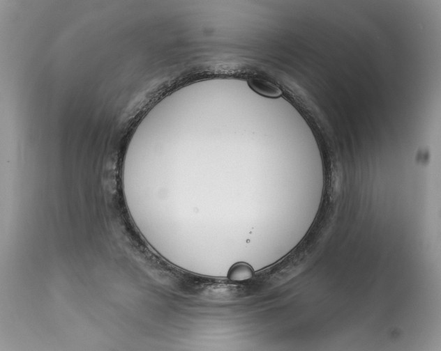 X0000112820497200909111325