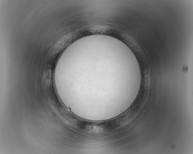 X0000112820498200909111325