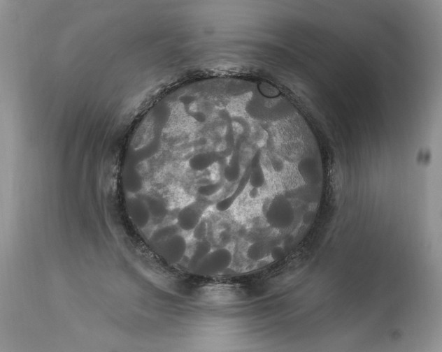 X0000112820499200909111325