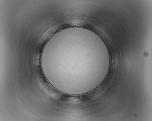 X0000112820502200909111325