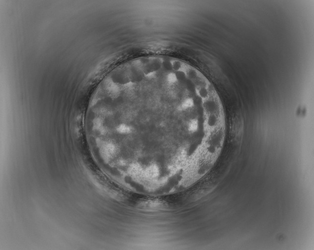 X0000112820503200909111325