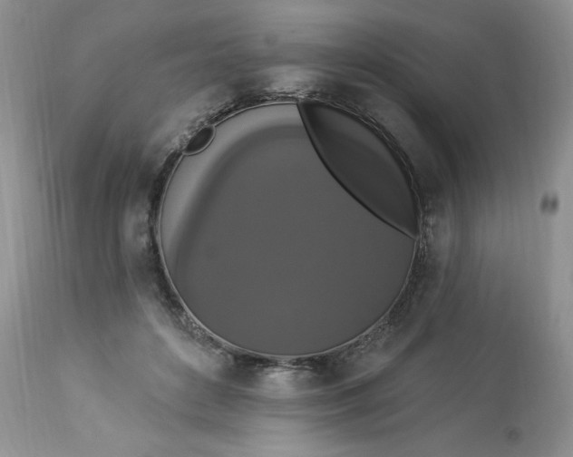 X0000112820504200909111325