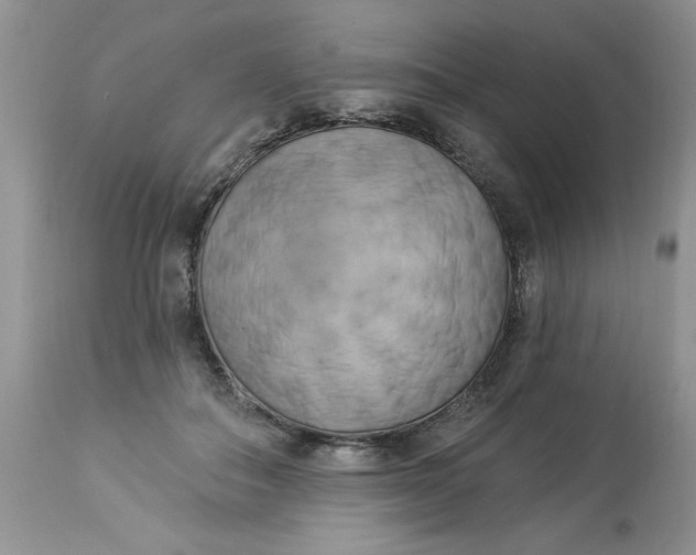 X0000112820506200909111325