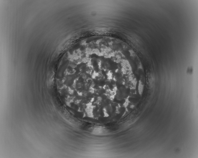 X0000112820507200909111325