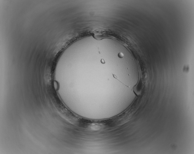 X0000112820508200909111325