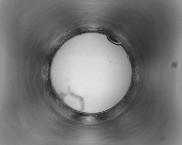 X0000112820509200909111325