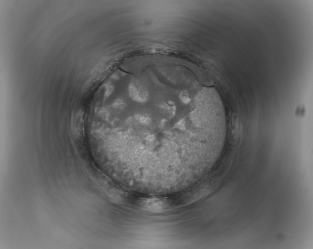 X0000112820511200909111325