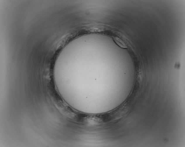 X0000112820512200909111325