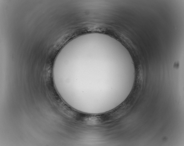 X0000112820513200909111325