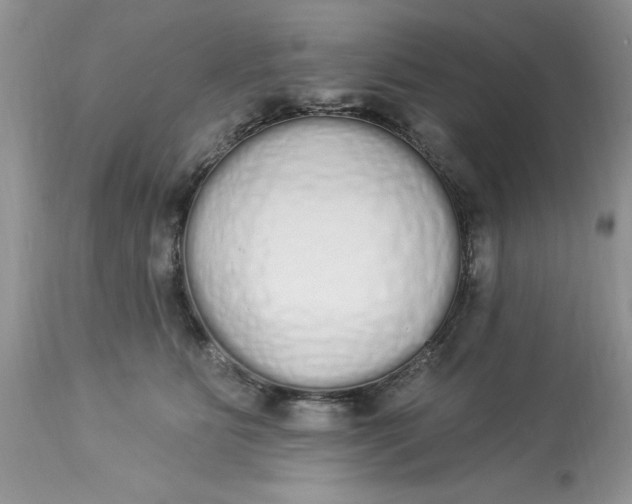 X0000112820515200909111325