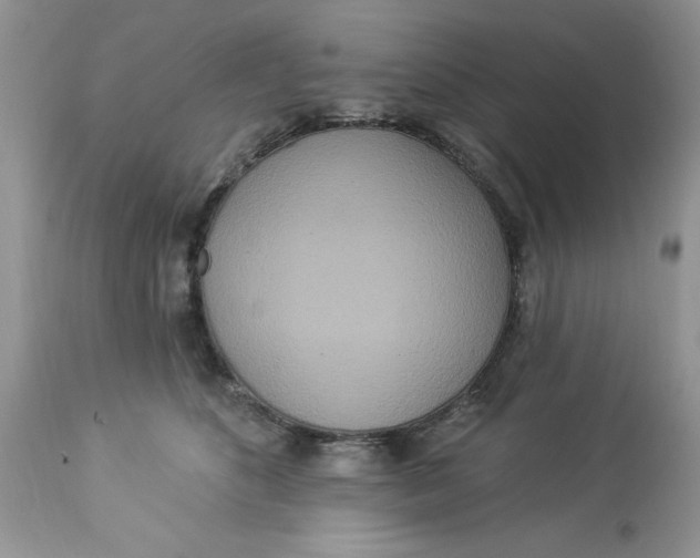 X0000112820516200909111325