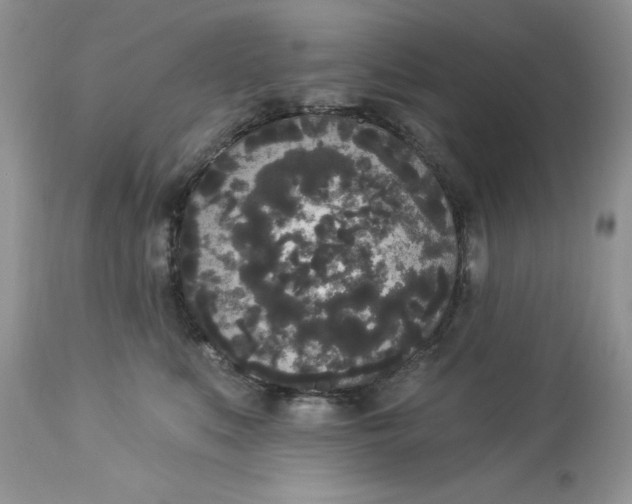 X0000112820519200909111325