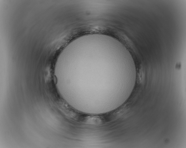 X0000112820520200909111325