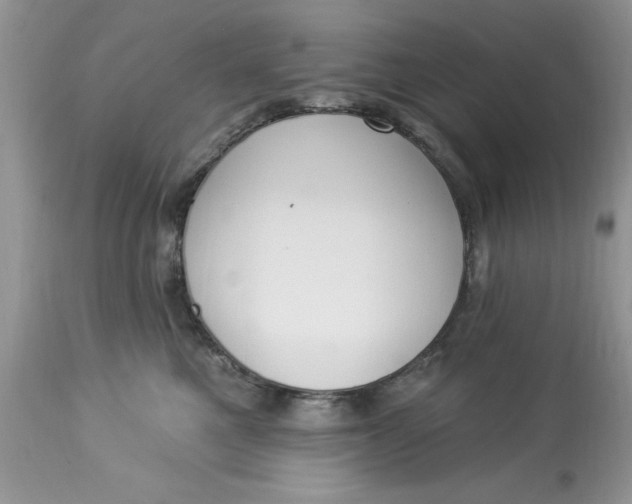 X0000112820521200909111325