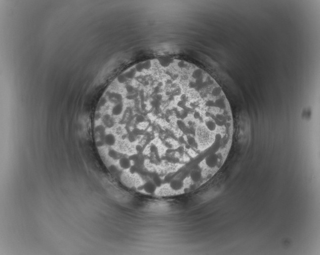 X0000112820523200909111325