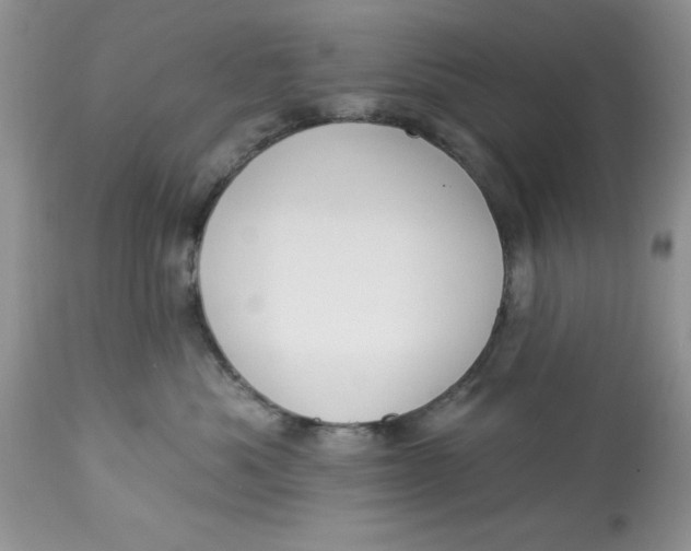 X0000112820525200909111325