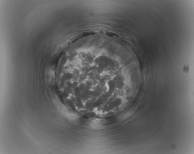 X0000112820527200909111325