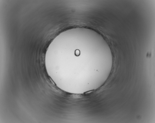 X0000112820528200909111325