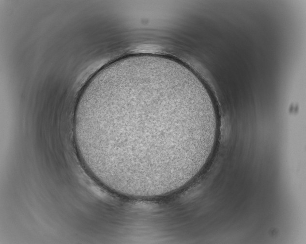 X0000112820529200909111324