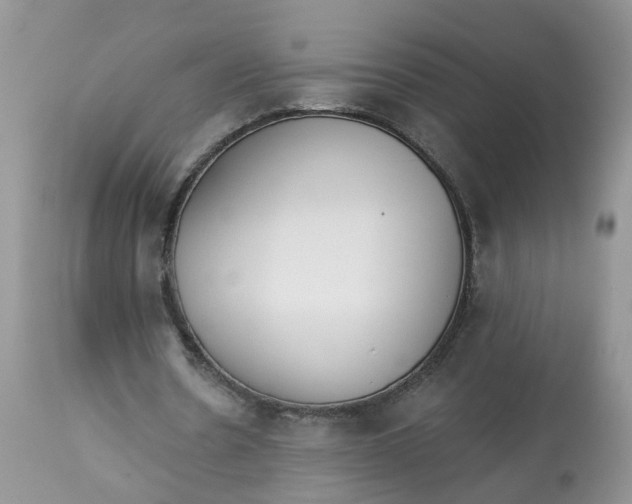 X0000112820530200909111324