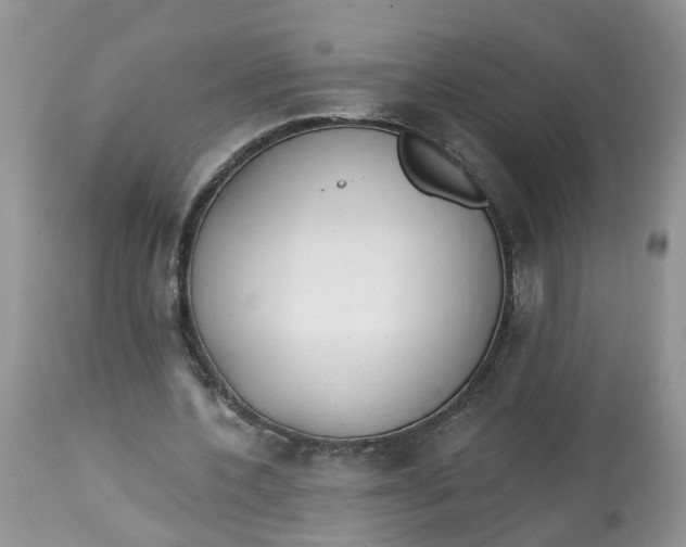 X0000112820532200909111324