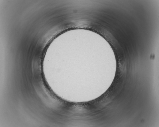 X0000112820534200909111324