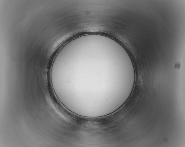 X0000112820535200909111324