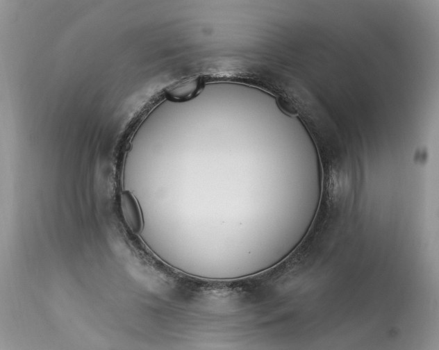 X0000112820540200909111325