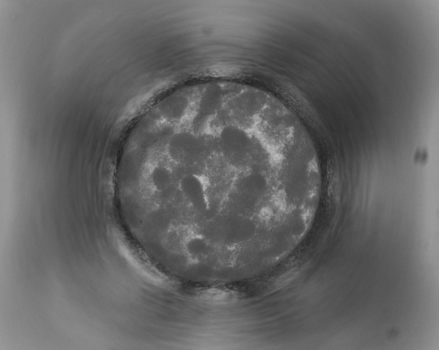 X0000112820542200909111325