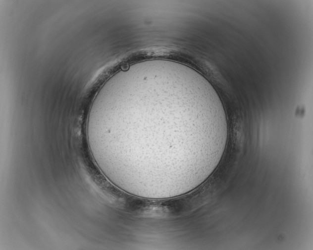 X0000112820543200909111325