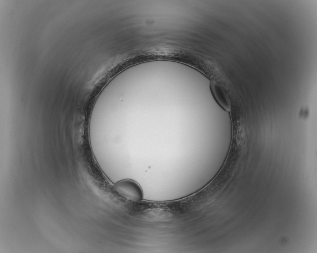 X0000112820544200909111325