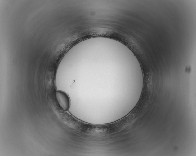 X0000112820546200909111325