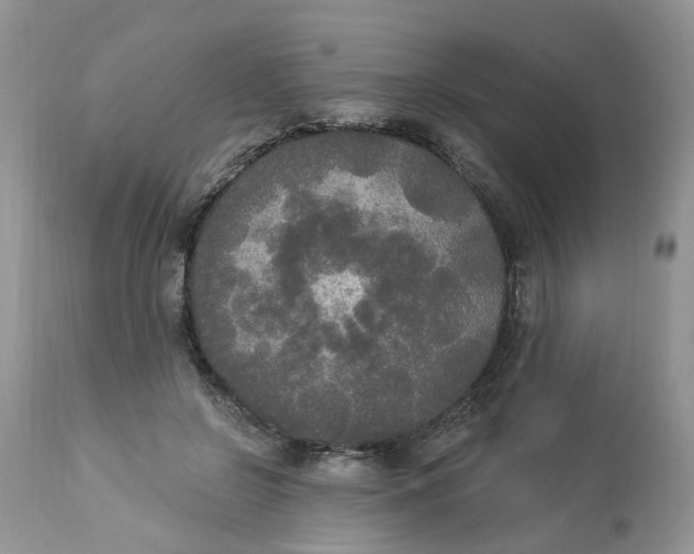 X0000112820550200909111325