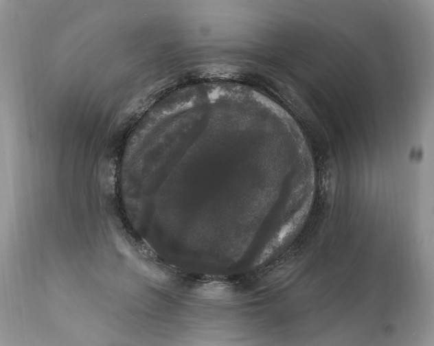 X0000112820551200909111325